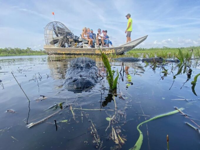 New Orleans: 10 Passenger Airboat Swamp Tour - Cancellation and Refund Policy