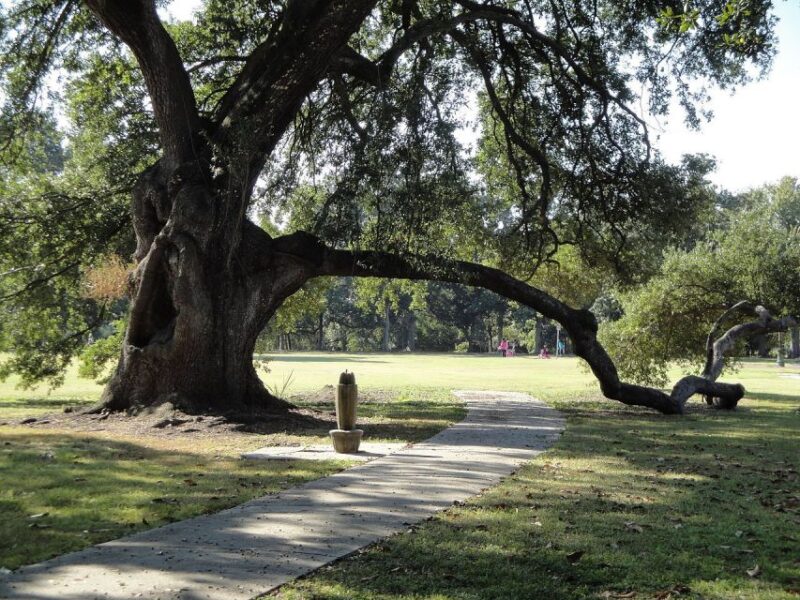 New Orleans: 2.5-Hour City & Cemetery Tour by Bus - Key Points
