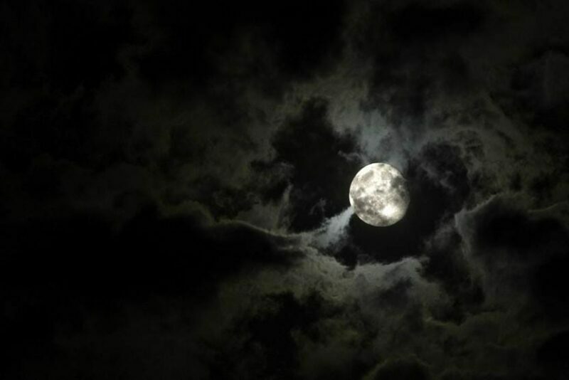 New Orleans: 2-Hour Paranormal Investigation Tour - Exploring the Details of the Paranormal Investigation Tour