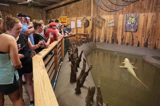 New Orleans Airboat Ride - Wildlife Encounters