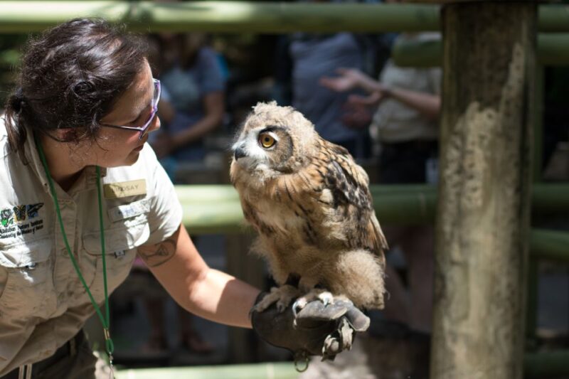 New Orleans: Audubon Zoo Ticket and Combination Option - Exploring the Audubon Zoo