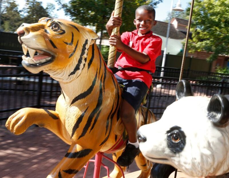 New Orleans: Audubon Zoo Ticket and Combination Option - Endangered Species at the Zoo