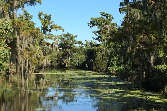 New Orleans City and Swamp Full-Day Tour - Accessibility and Safety Considerations