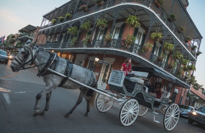 New Orleans City Driving Tour - Itinerary Highlights