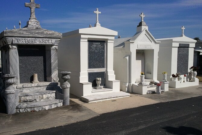 New Orleans City Wide and Plantation Driving Tour - Lesser-known Neighborhoods Exploration
