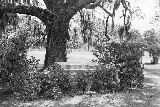 New Orleans Dead of Night Ghosts and Cemetery Bus Tour - Customer Testimonials