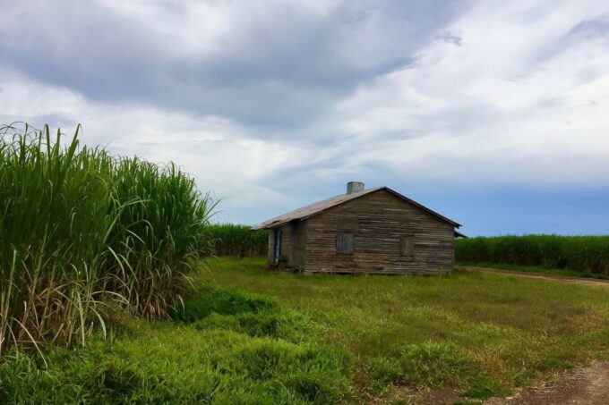 New Orleans: Destrehan Plantation & Airboat Combo Tour - Frequently Asked Questions
