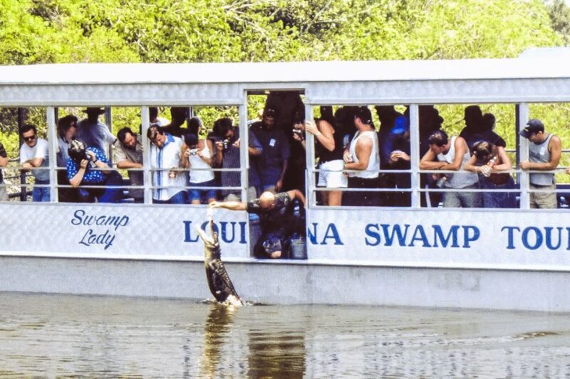 New Orleans: Destrehan Plantation & Swamp Combo - Customer Reviews and Feedback