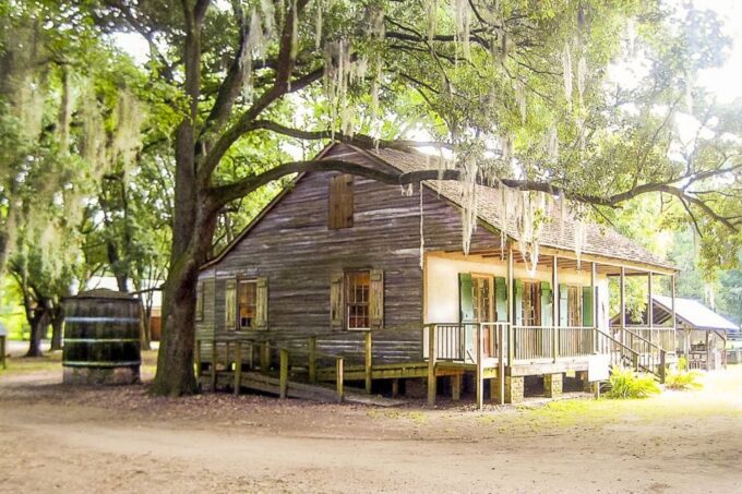 New Orleans: Destrehan Plantation & Swamp Combo - Unique Swamp Wildlife Encounters