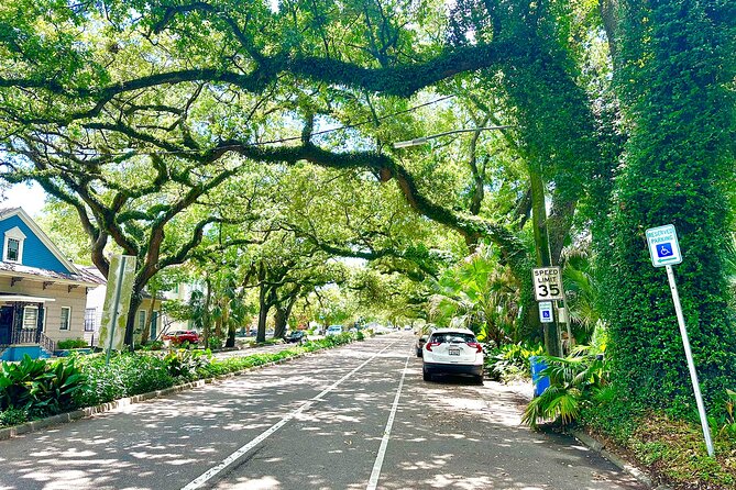 New Orleans Driving Tour of Bayou St. John, City Park, Treme Etc - Discovering City Park