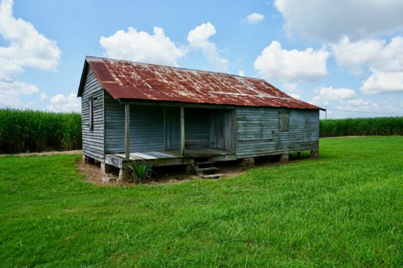New Orleans: Felicity Plantation Guided Tour - Films and Media