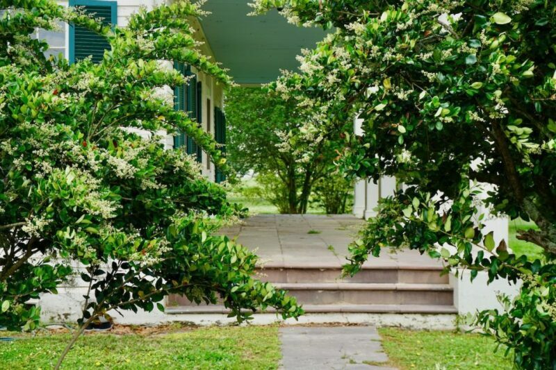 New Orleans: Felicity Plantation Guided Tour - Tour Logistics and Value