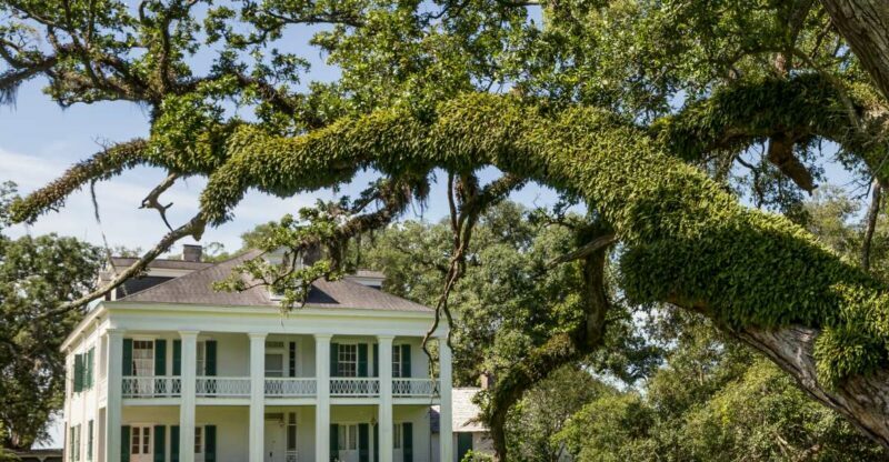 New Orleans: Felicity Plantation Guided Tour - Review Highlights and Authentic Perspectives