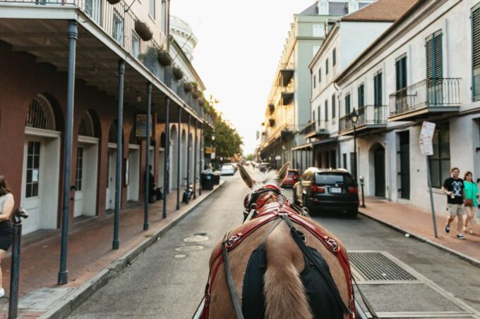 New Orleans: French Quarter Sightseeing Carriage Ride - Meeting Point and Accessibility