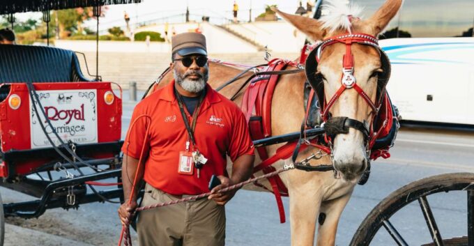New Orleans: French Quarter Sightseeing Carriage Ride - Frequently Asked Questions