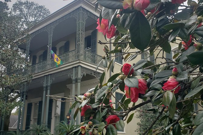 New Orleans Garden District Walking Tour Including Lafayette Cemetery No. 1 - Knowledgeable and Entertaining Tour Guides