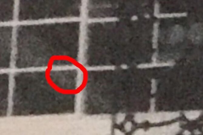 New Orleans Ghost Adventure With Real Paranormal Equipment - Tour Conduct and Complaints