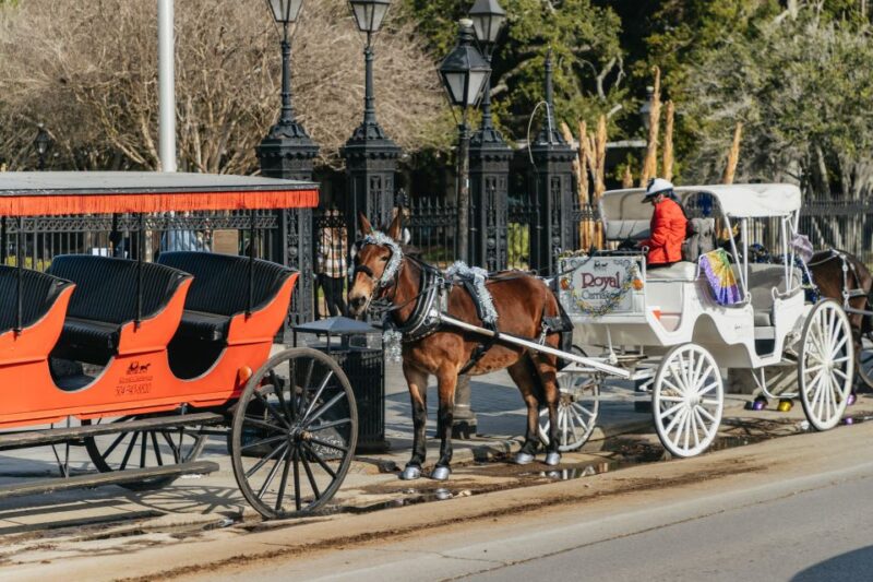 New Orleans: Guided City Sightseeing Tour by Bus - Itinerary Highlights