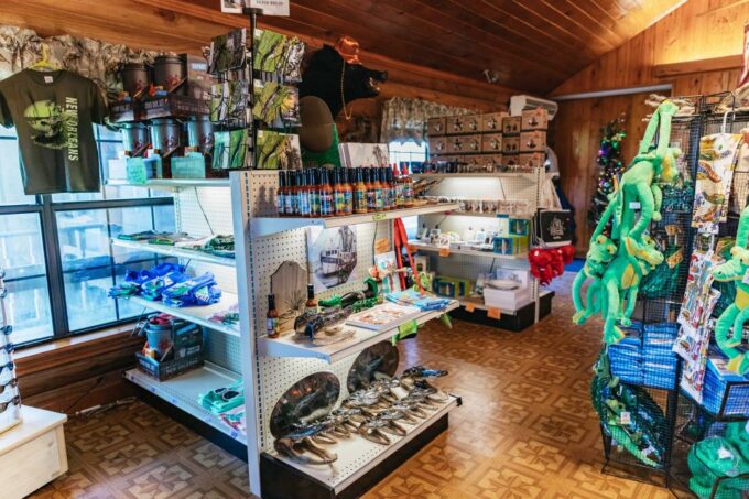 New Orleans: Guided Swamp Cruise by Tour Boat - Pickup and Accessibility