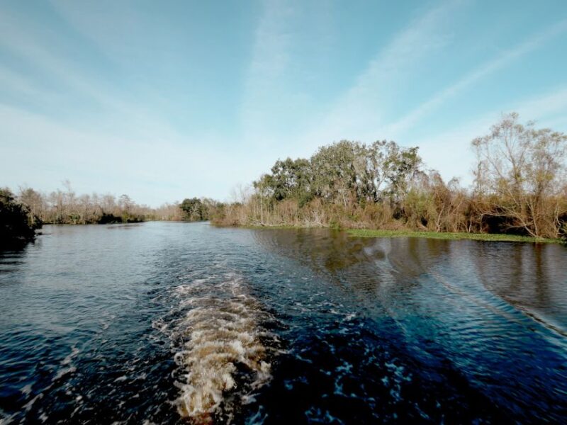 New Orleans: High Speed 16 Passenger Airboat Ride - Customer Reviews