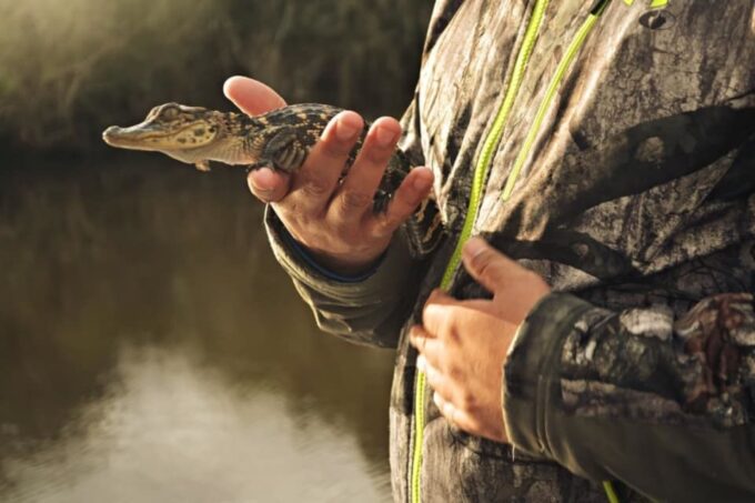 New Orleans: High Speed 16 Passenger Airboat Ride - Ratings