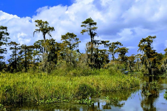New Orleans Large Airboat Swamp Tour - Unforgettable Swamp Experiences