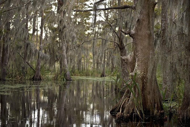 New Orleans Large Airboat Swamp Tour - Tour Inclusions