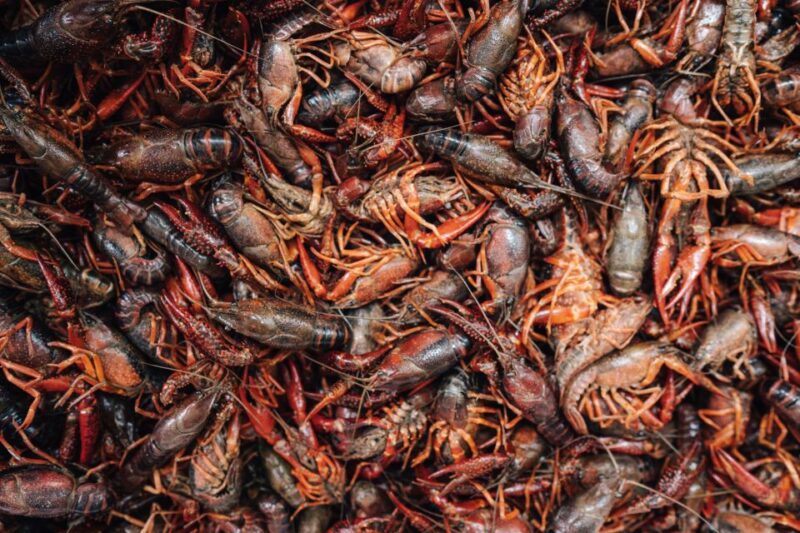 New Orleans Lower Garden Food Tour - Tour Features