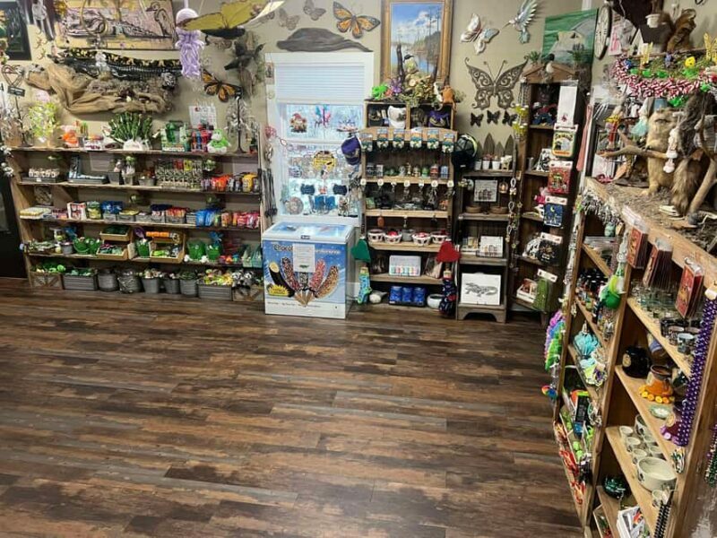 New Orleans Manchac Bayou Swamp Cruise W/ Optional Pick-Up - The Experience: What You Can Expect