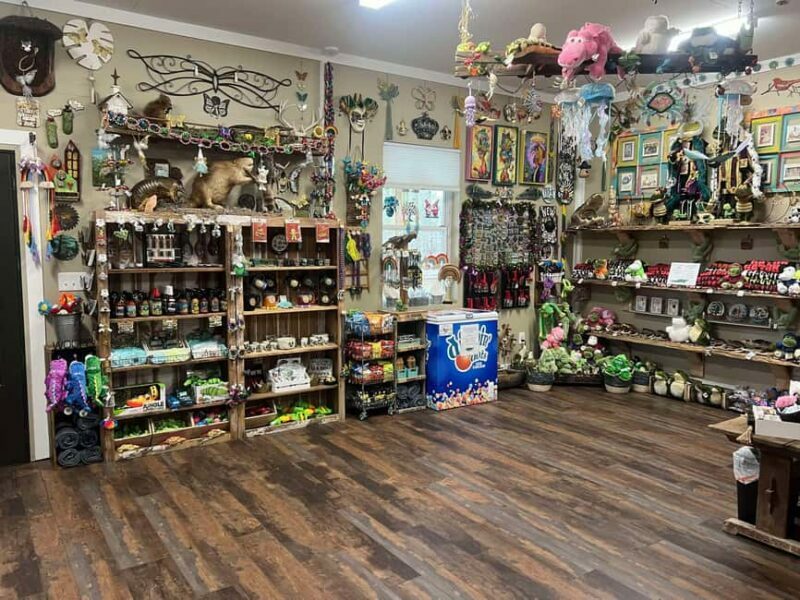 New Orleans Manchac Bayou Swamp Cruise W/ Optional Pick-Up - The Sum Up