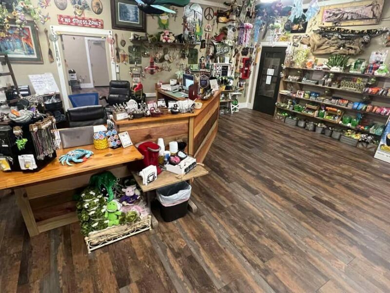 New Orleans Manchac Bayou Swamp Cruise W/ Optional Pick-Up - FAQ