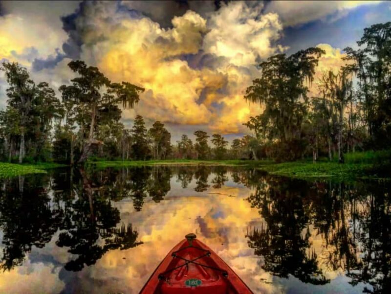 New Orleans: Manchac Swamp Wildlife Kayaking Tour - A Detailed Look at the Manchac Swamp Kayaking Experience