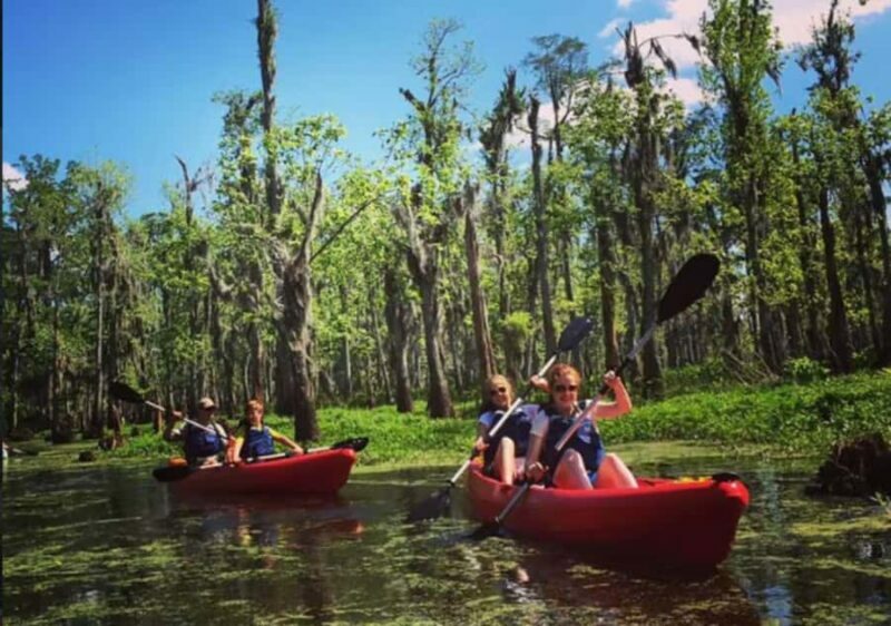 New Orleans: Manchac Swamp Wildlife Kayaking Tour - FAQ