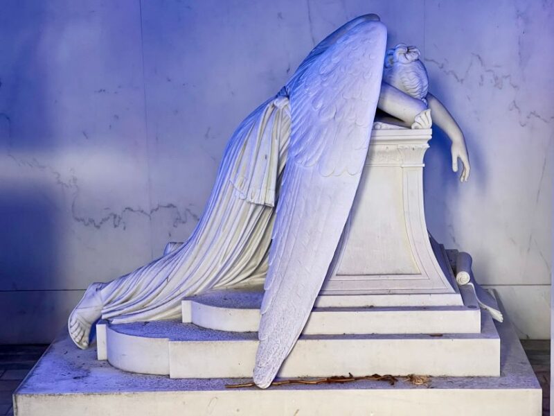 New Orleans: Millionaire's Tombs of Metairie Cemetery Tour - Tour Details