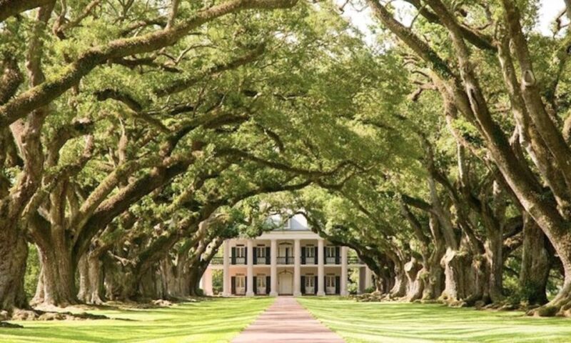 New Orleans: Oak Alley or Laura Plantation & Airboat Tour - Itinerary and Activities