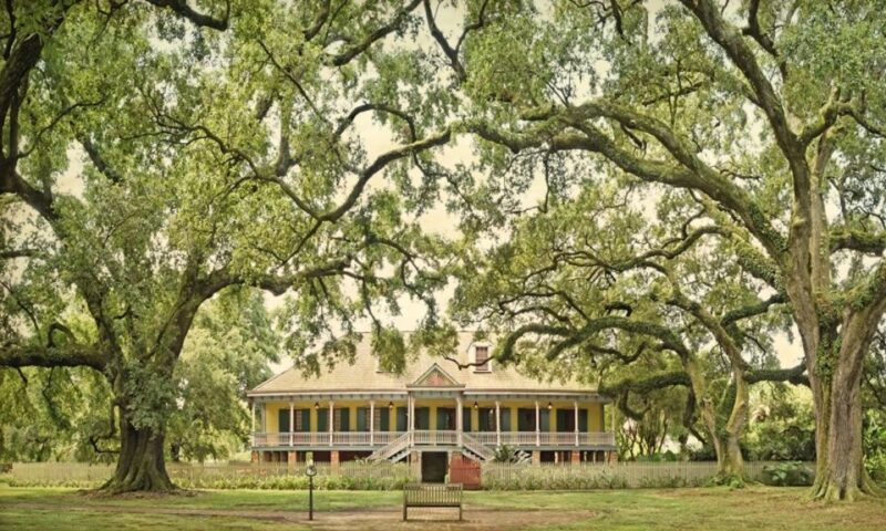 New Orleans: Oak Alley or Laura Plantation & Airboat Tour - Plantation Visits