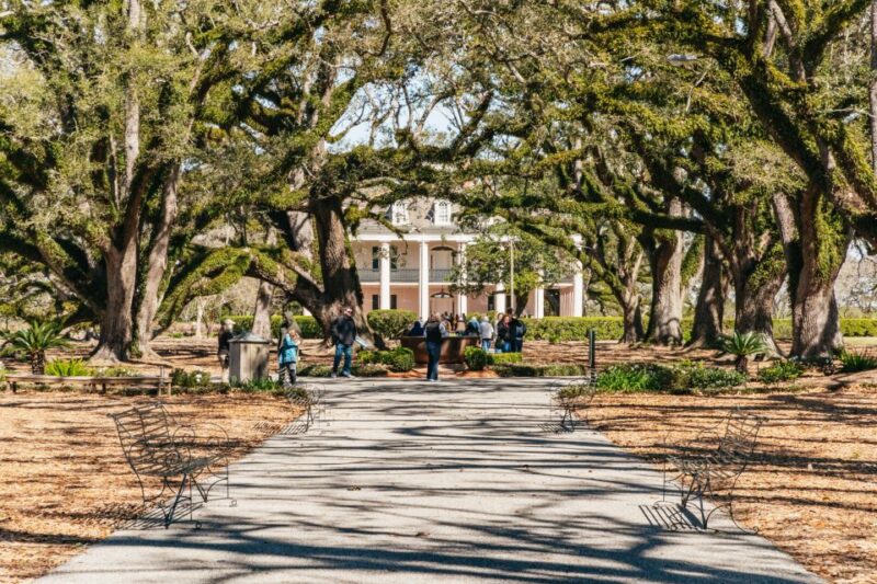 New Orleans: Oak Alley Plantation & Airboat Swamp Combo Tour - Itinerary Details