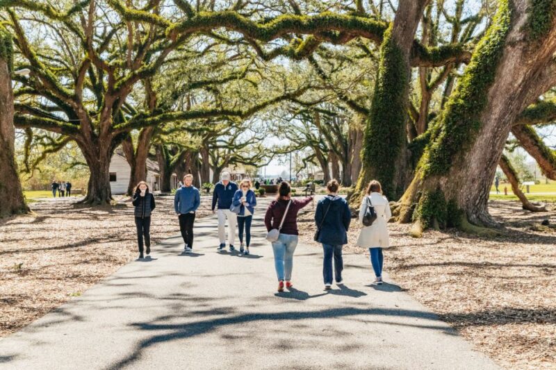 New Orleans: Oak Alley Plantation & Airboat Swamp Combo Tour - Experience Highlights