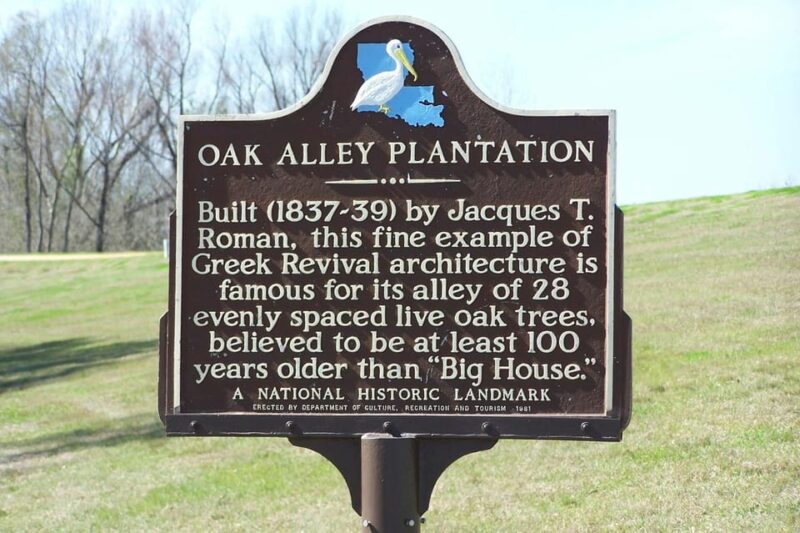 New Orleans: Oak Alley Plantation -N- Swamp Tour Full Day - Transportation and Comfort