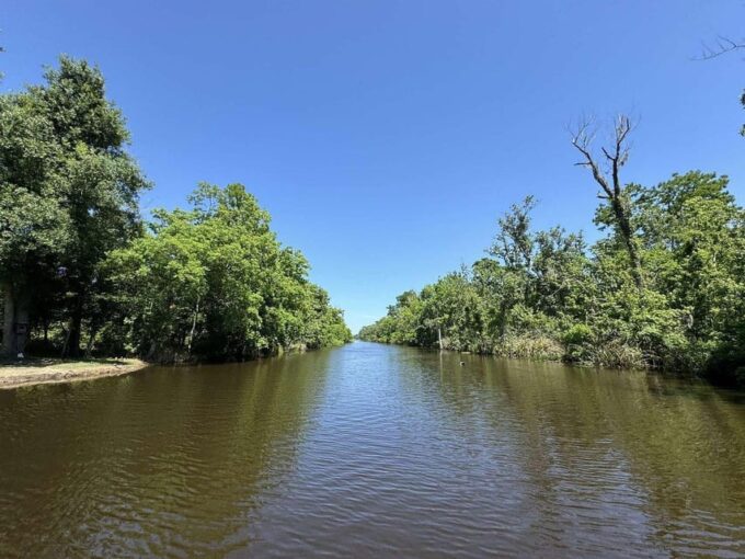 New Orleans: Oak Alley Plantation -N- Swamp Tour Full Day - Discovering the Cajun Swamp