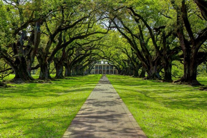New Orleans: Oak Alley Plantation & Swamp Cruise Day Trip - Frequently Asked Questions
