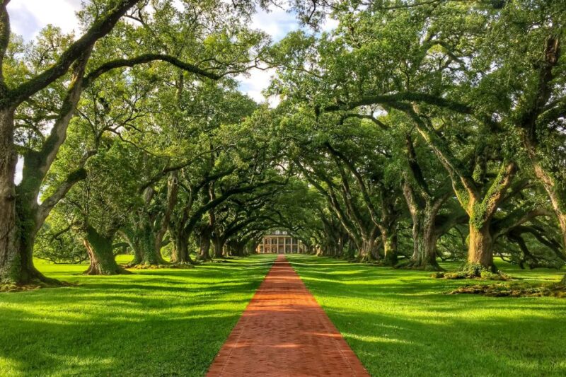 New Orleans: Oak Alley Plantation Tour With Transportation - Transportation Details