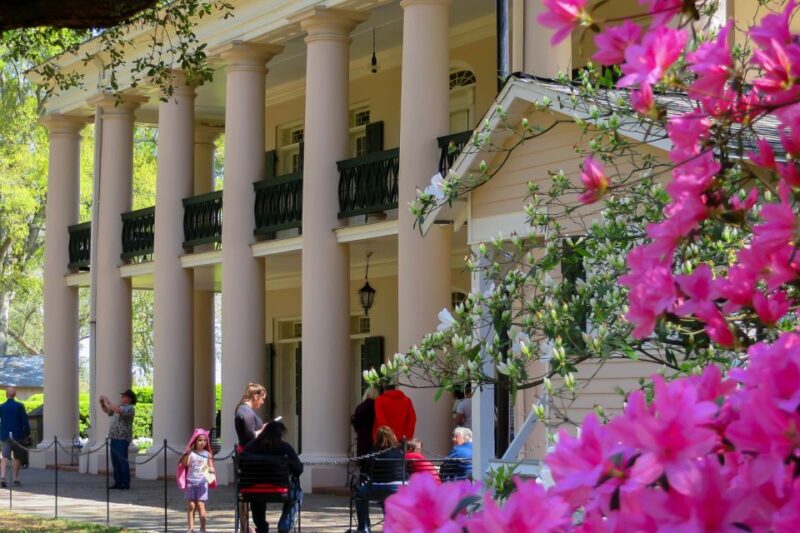 New Orleans: Oak Alley Plantation Tour With Transportation - Dining and Amenities