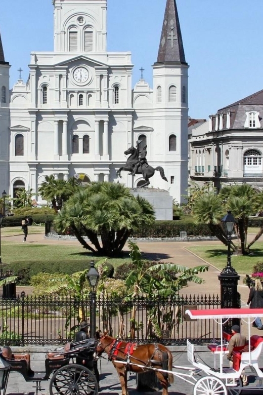 New Orleans: Private Guided City Tour - Highlights of the Experience