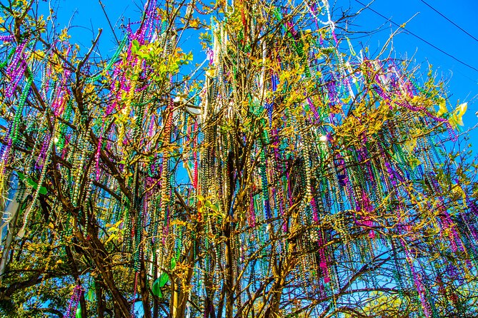 New Orleans Small-Group City Tour by Van - Katrina Recovery Insights