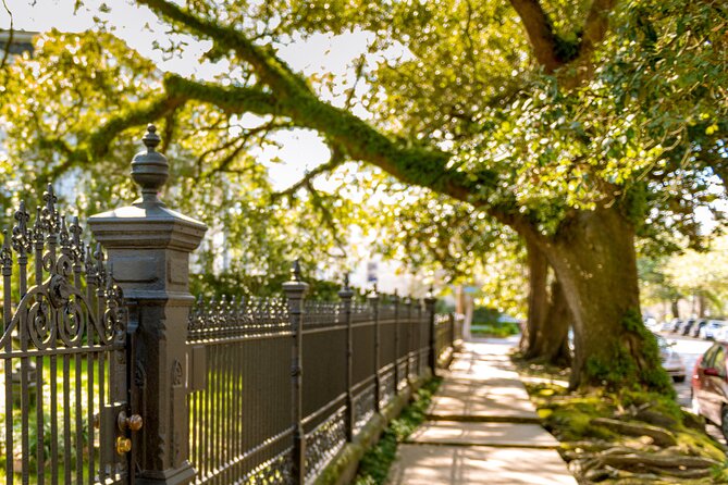 New Orleans Small Group Garden District History and Architecture Tour - Reviewing the Tour