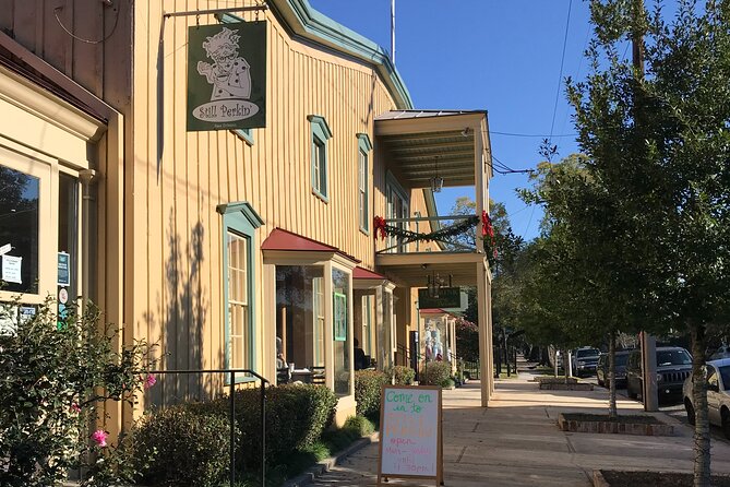 New Orleans Small Group Garden District History and Architecture Tour - Recap
