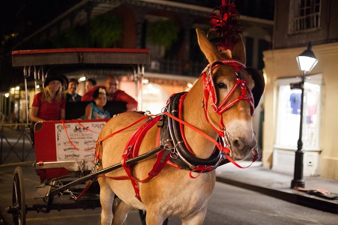 New Orleans Small-Group Haunted History Carriage Tour - Meeting and End Point