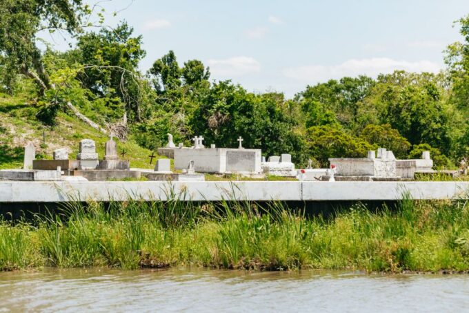 New Orleans: Swamp & Bayou Boat Tour With Transportation - Accessibility and Accommodations