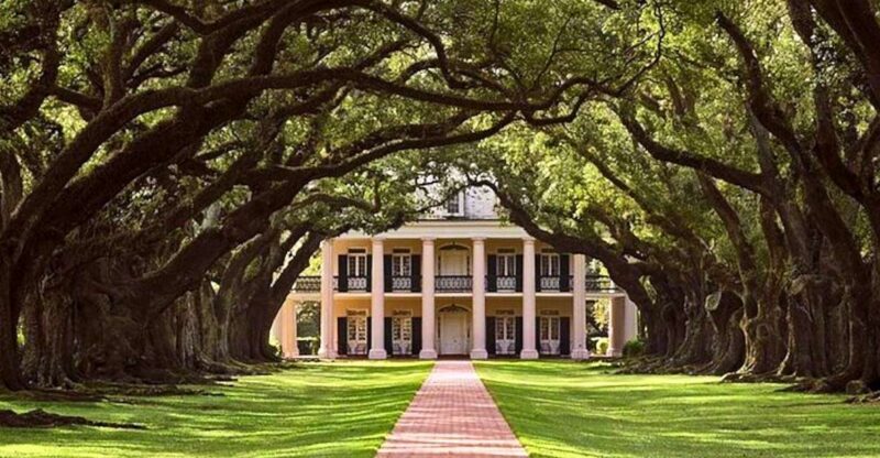 New Orleans: Swamp Boat Ride and Historic Plantation Tour - Plantation Visits